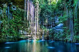 Selva & Cenotes